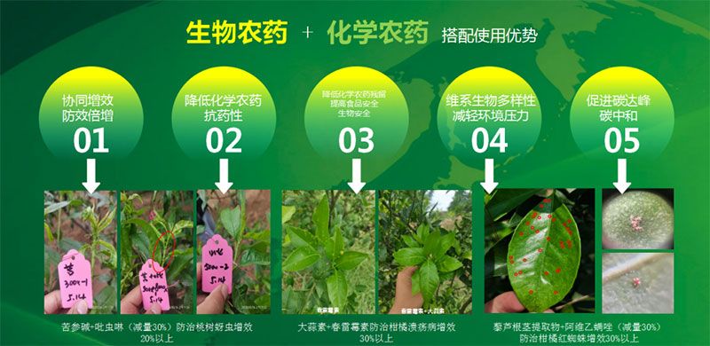 新朝陽(yáng)在第六屆中國(guó)農(nóng)藥行業(yè)市場(chǎng)和銷(xiāo)售高峰論壇做“生物農(nóng)藥+化學(xué)農(nóng)藥，引領(lǐng)植保市場(chǎng)未來(lái)”主題報(bào)告