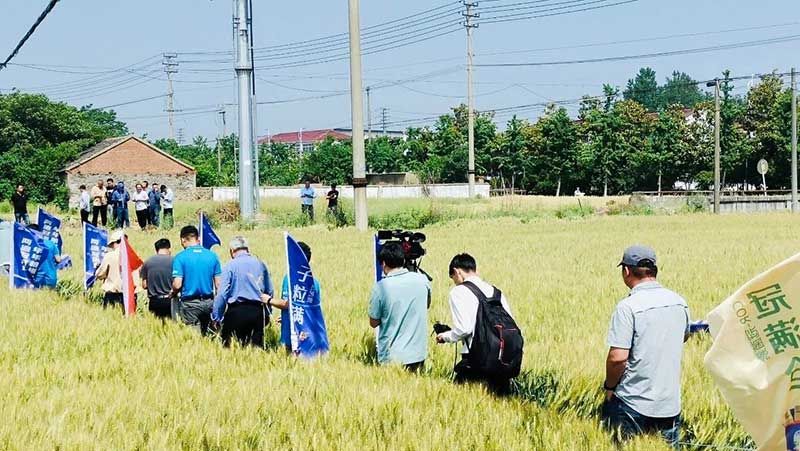 520健康植保日——擁抱綠色農(nóng)業(yè)，我們在行動