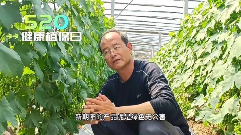 520健康植保日——擁抱綠色農(nóng)業(yè)，我們在行動