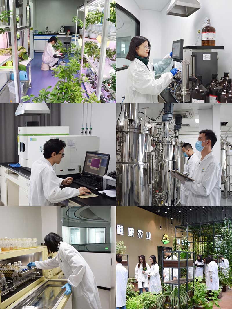 “全國科技工作者日”：推動農(nóng)業(yè)綠色高質(zhì)量發(fā)展，新朝陽科研人在路上