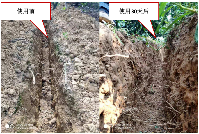 “土壤板結克星”：土壤調理劑你了解多少？