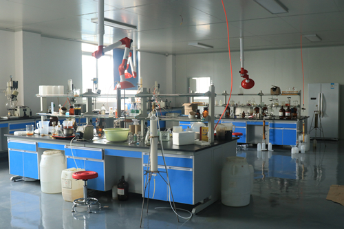 公司實(shí)驗(yàn)室展示三