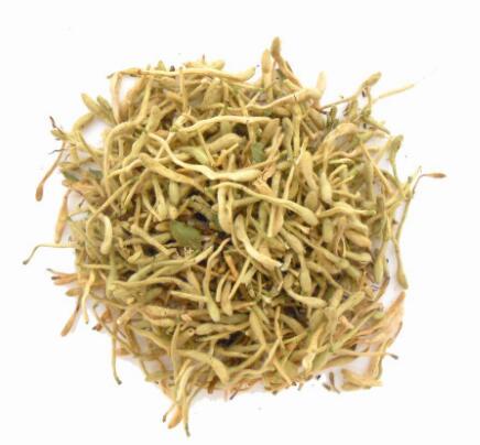 山銀花(灰氈毛忍冬) Lonicerae Flos