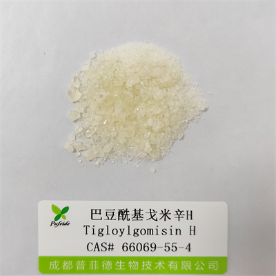 巴豆?；昝仔罤|66069-55-4