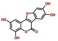 普菲德專題產(chǎn)品推薦-墨旱蓮系列(圖5) 普菲德專題產(chǎn)品推薦-墨旱蓮系列(圖5)