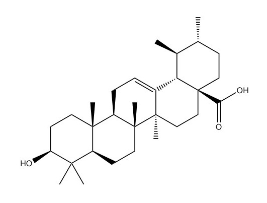 熊果酸|77-52-1